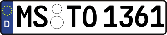 MS-TO1361