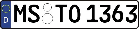 MS-TO1363