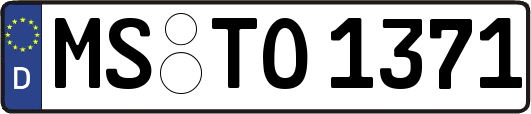 MS-TO1371