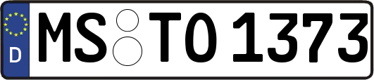 MS-TO1373
