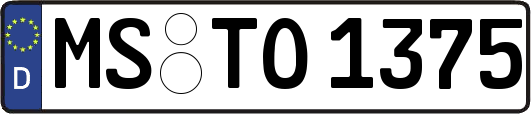MS-TO1375