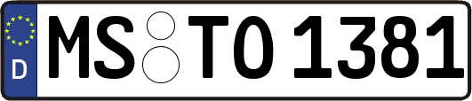 MS-TO1381