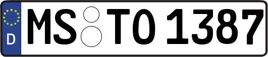 MS-TO1387