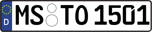 MS-TO1501