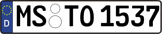 MS-TO1537