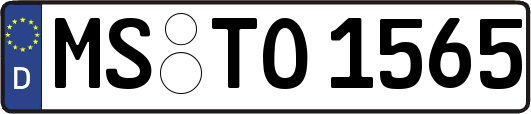 MS-TO1565