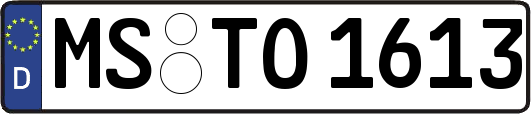 MS-TO1613