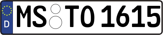 MS-TO1615