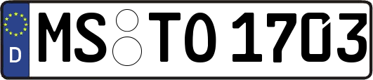 MS-TO1703