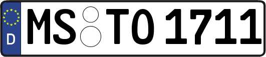 MS-TO1711