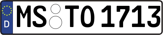 MS-TO1713