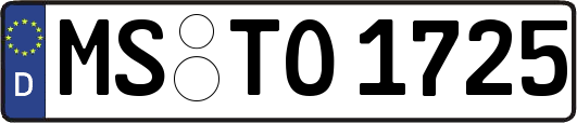 MS-TO1725