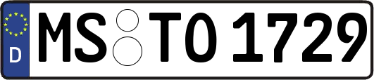 MS-TO1729
