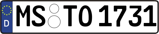 MS-TO1731
