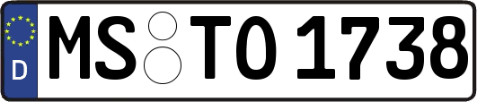 MS-TO1738
