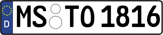 MS-TO1816