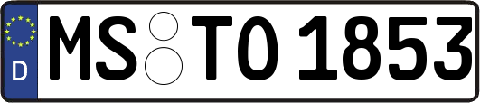 MS-TO1853