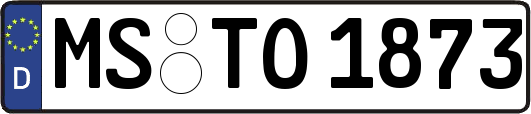 MS-TO1873