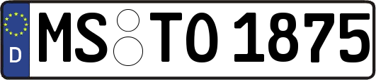 MS-TO1875