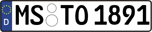 MS-TO1891