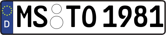 MS-TO1981