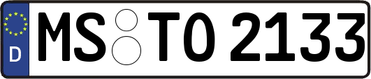 MS-TO2133