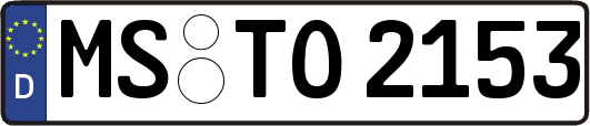 MS-TO2153