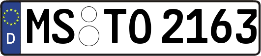 MS-TO2163
