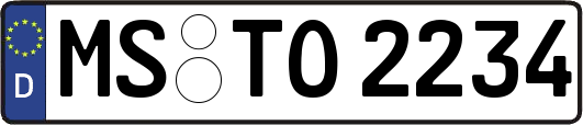 MS-TO2234