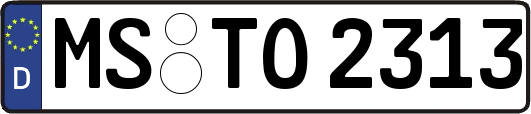 MS-TO2313