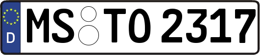 MS-TO2317
