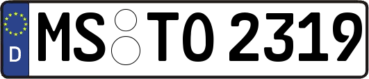 MS-TO2319