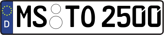 MS-TO2500