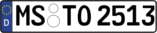 MS-TO2513