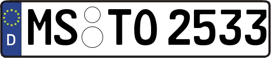 MS-TO2533