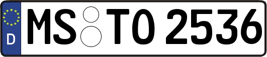 MS-TO2536