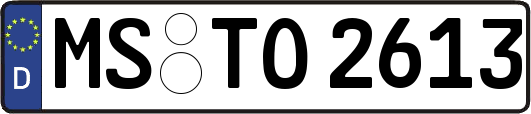 MS-TO2613