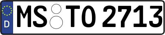 MS-TO2713