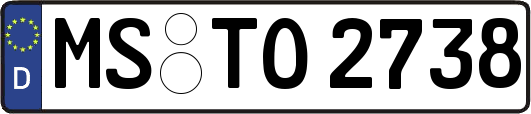 MS-TO2738