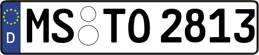 MS-TO2813