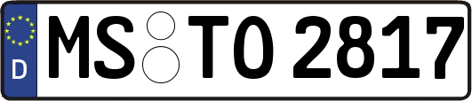 MS-TO2817