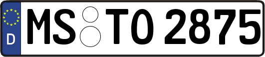 MS-TO2875