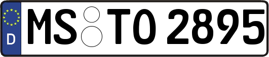 MS-TO2895