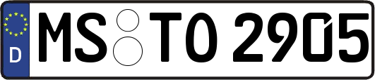 MS-TO2905