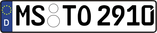 MS-TO2910