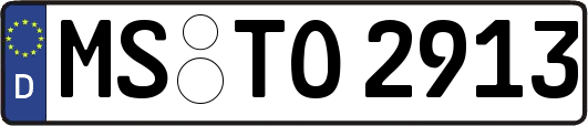 MS-TO2913