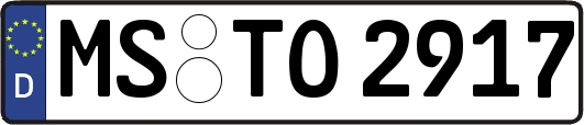 MS-TO2917