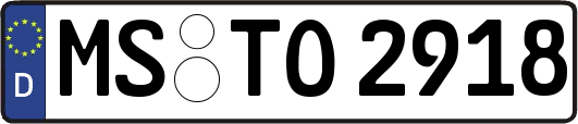 MS-TO2918