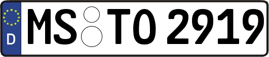 MS-TO2919