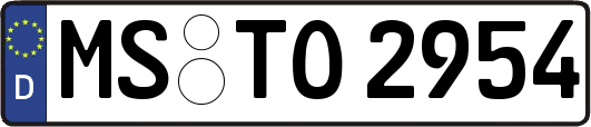 MS-TO2954